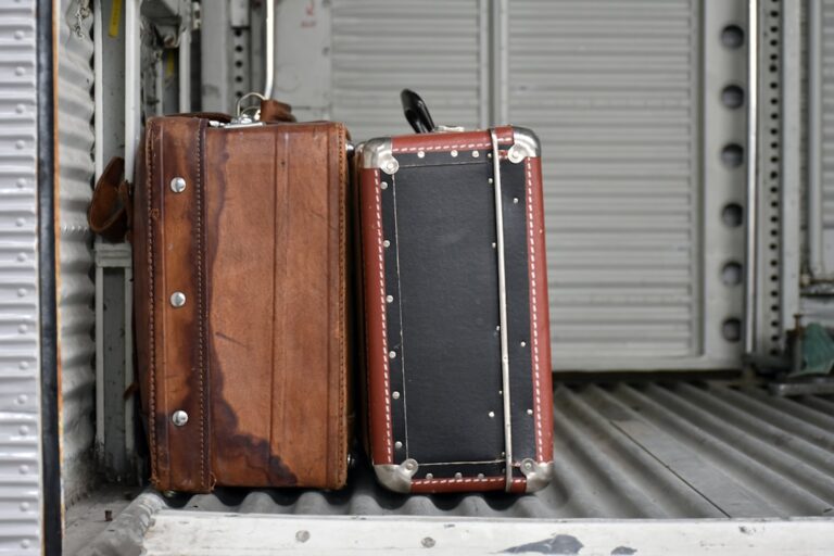Maximizing Space: Packing Techniques for Efficient Travel